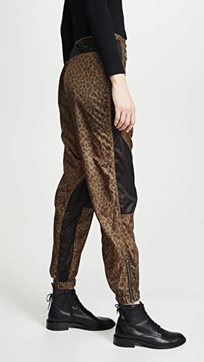 Shop R13 Track Pants In Leopard