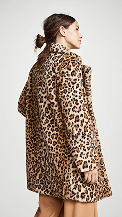 Shop I.am.gia I.am. Gia Stefani Coat In Leopard