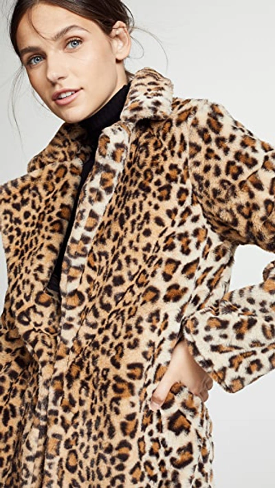 Shop I.am.gia I.am. Gia Stefani Coat In Leopard