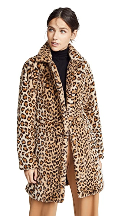 Shop I.am.gia I.am. Gia Stefani Coat In Leopard