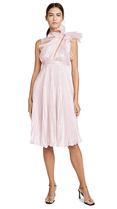 Shop Giambattista Valli Metallic One Shoulder Dress In Argento/rosa