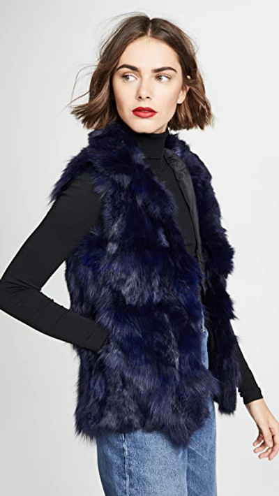 Shop Adrienne Landau Fur Accent Vest In Navy