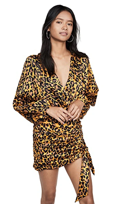 Shop Ronny Kobo Giorgia Dress In Leopard Gold Multi