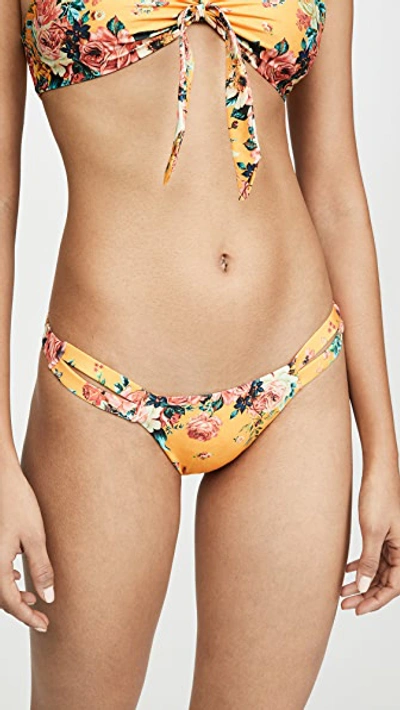 Shop Agua Bendita Polly Bikini Bottoms In Gypsy