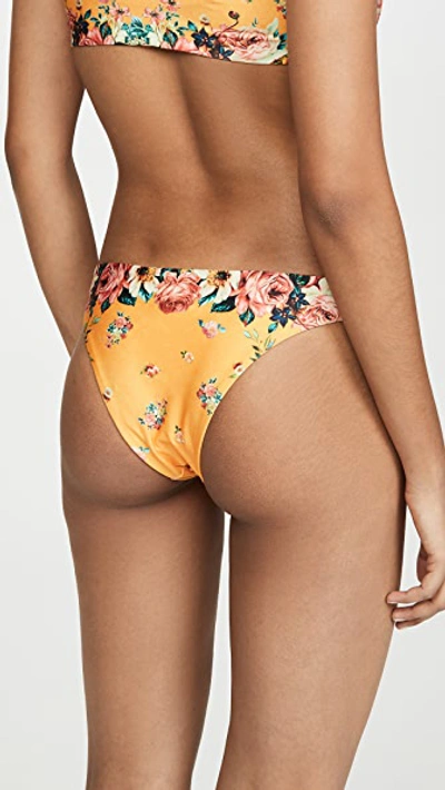 Shop Agua Bendita Polly Bikini Bottoms In Gypsy