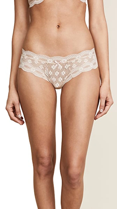 Shop Eberjey India Lace Low Rise Boy Thong In Bare
