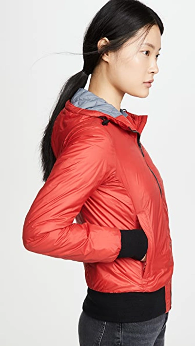 Shop Canada Goose Dore Hoodie Jacket In Red