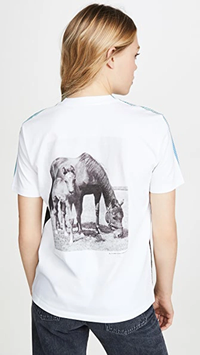 Shop Stella Mccartney T-shirt Halftone Horse Jersey In Multi