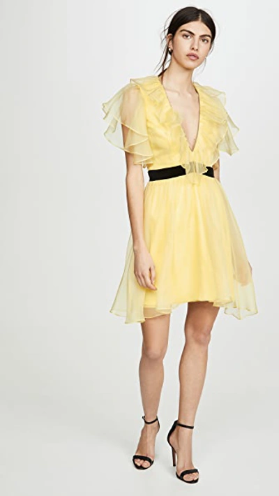 Shop Macgraw Sandpiper Dress In Yellow/black