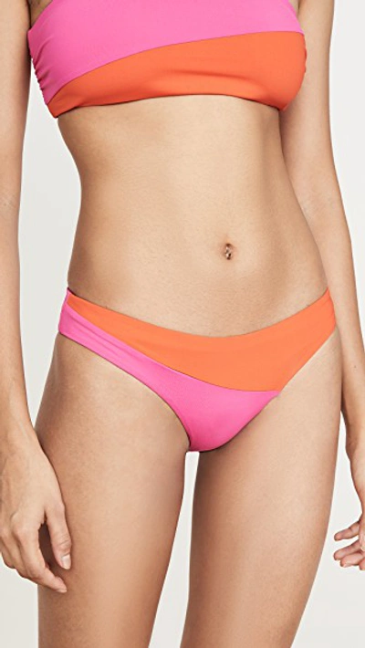 Shop Tavik Jaclyn Bikini Bottoms In Fuchsia/cherry Tomato