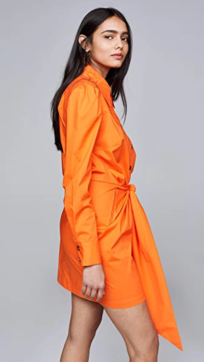 Shop Petersyn Agnes Dress In Orange