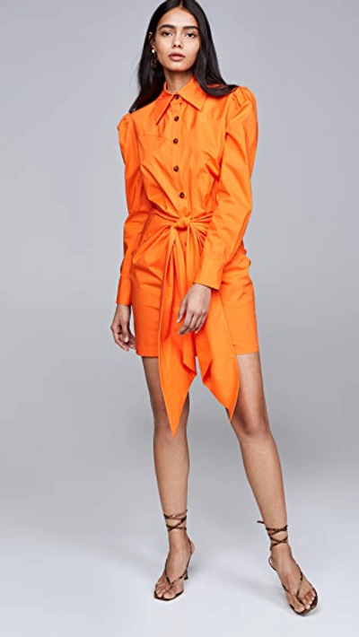 Shop Petersyn Agnes Dress In Orange