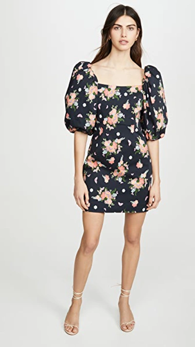 Shop Rebecca De Ravenel First Impressions Dress In Black Poppies