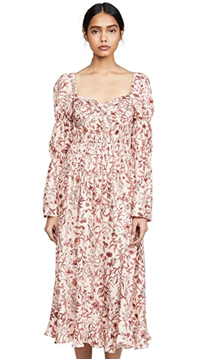 Shop Amur Filipa Dress In Blush Willdflowers