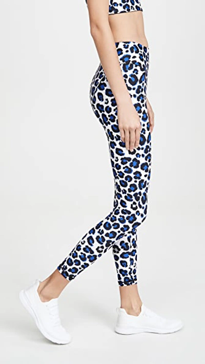 Shop Adam Selman Sport French Cut Leggings In Blue Leopard