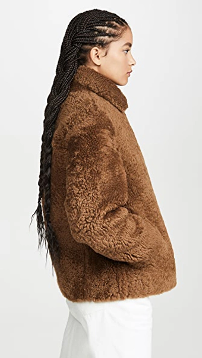 Shop Vince Shearling Moto Jacket In Canyon