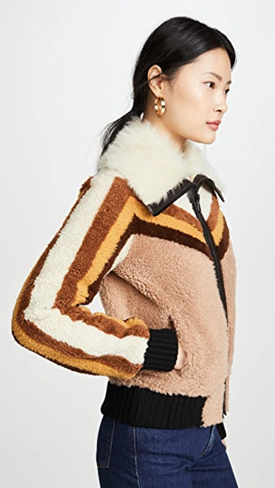 Shop Coach 1941 Shearling Bomber Jacket In Carub