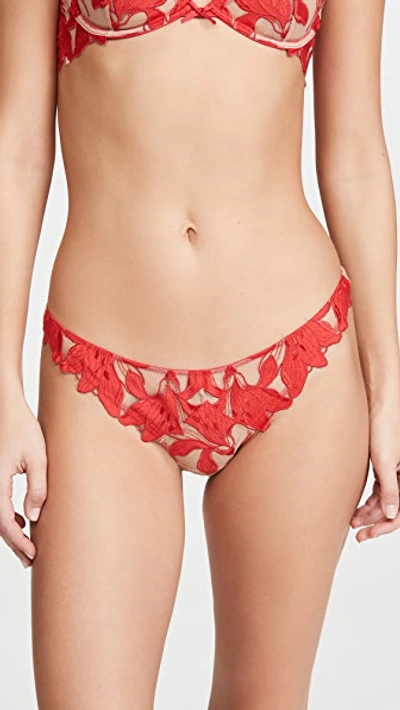 Shop Fleur Du Mal Lily Thong In Red Poppy