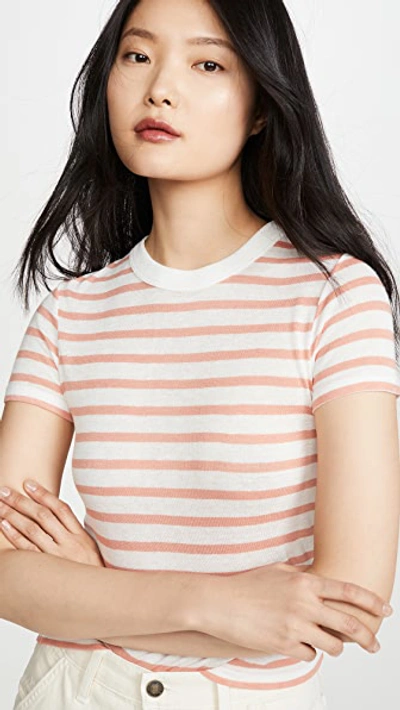 Shop Alexander Wang T Striped Boy Tee In Melon/ivory