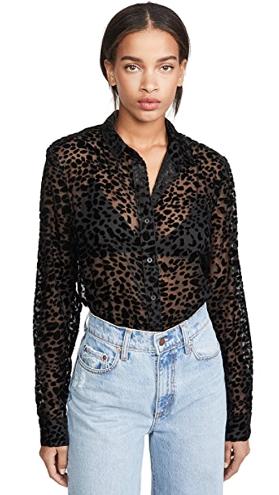 Shop Rta Blythe Top In Sheer Leopard