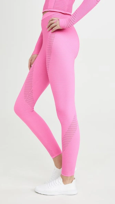 Shop Adam Selman Sport Rib Knit Leggings In Bubblegum