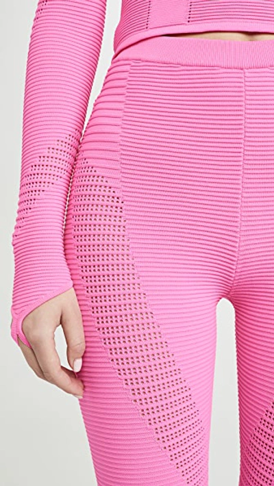 Shop Adam Selman Sport Rib Knit Leggings In Bubblegum