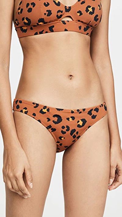 Shop Tigerlily Leilani Bikini Bottoms In Leopard