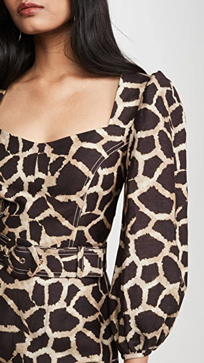 Shop Rebecca Vallance Acacia Mini Dress In Giraffe Print