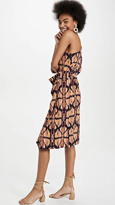 Shop Ulla Johnson Idra Dress In Ikat