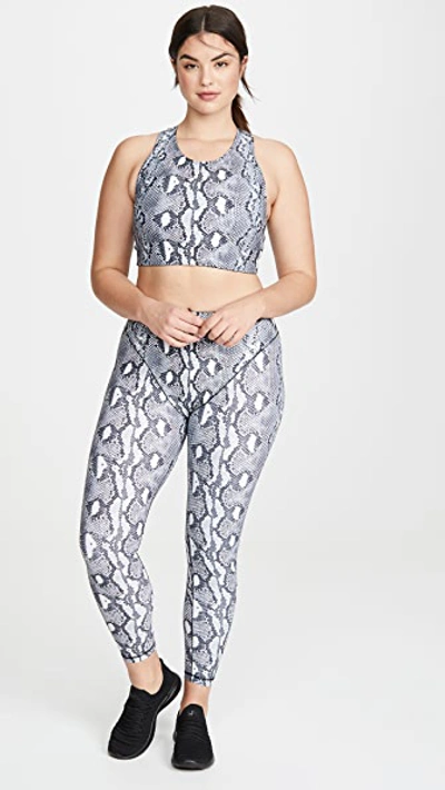 Shop Adam Selman Sport Racer Crop Top In Black/white Python