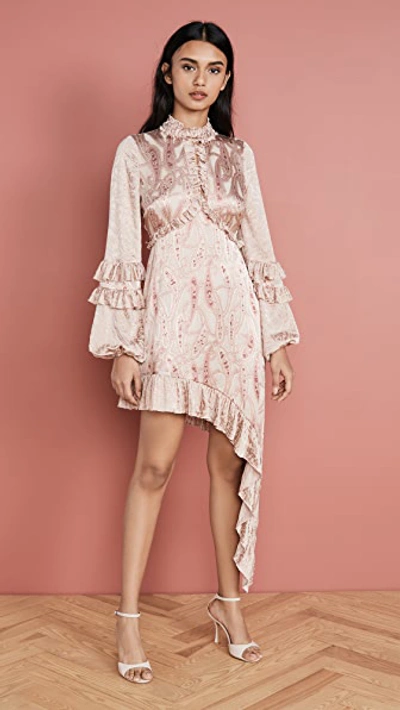 Shop Alexis Liora Dress In Blush Paisley