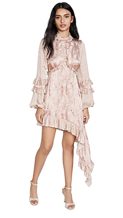 Shop Alexis Liora Dress In Blush Paisley