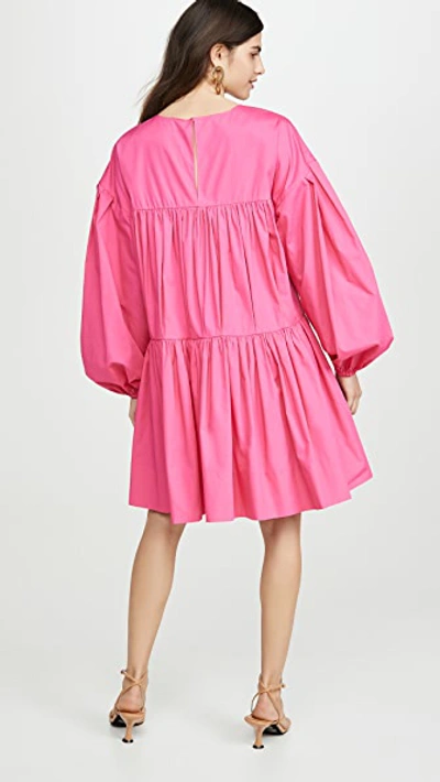 Shop Adam Lippes Shirred Back Dress In Cotton Poplin In Hot Pink