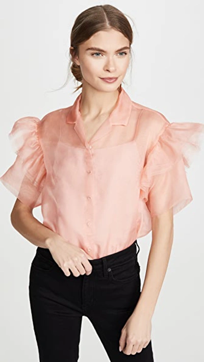 Shop Anais Jourden Organza Shirt With Ruffled Short Sleeves In Pink