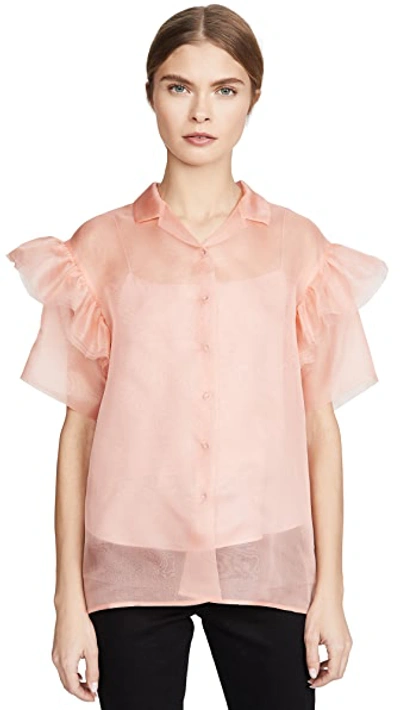 Shop Anais Jourden Organza Shirt With Ruffled Short Sleeves In Pink