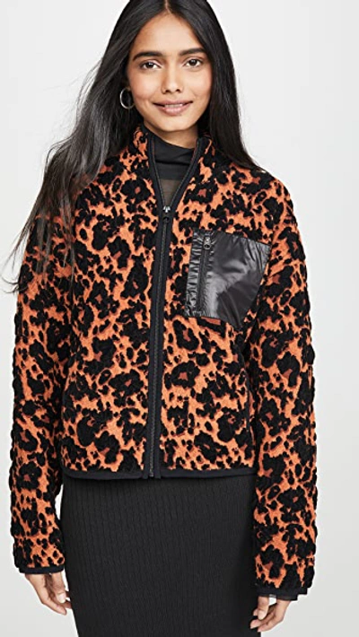 Shop Proenza Schouler Cropped Bomber Jacket In Leopard