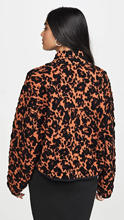 Shop Proenza Schouler Cropped Bomber Jacket In Leopard