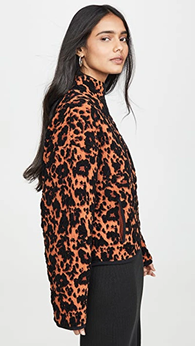 Shop Proenza Schouler Cropped Bomber Jacket In Leopard