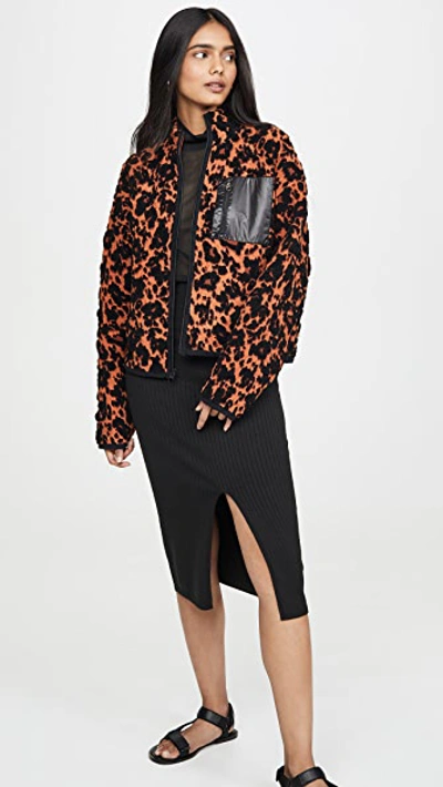 Shop Proenza Schouler Cropped Bomber Jacket In Leopard