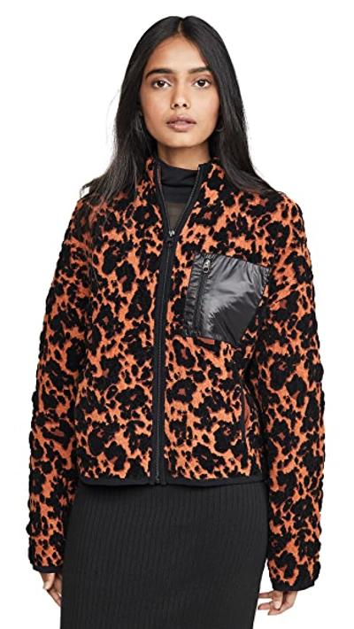 Shop Proenza Schouler Cropped Bomber Jacket In Leopard