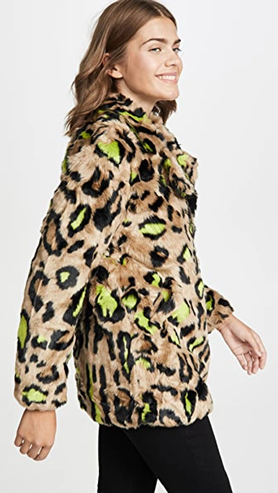 Shop Apparis Chloe Faux Fur Coat In Neon Leopard