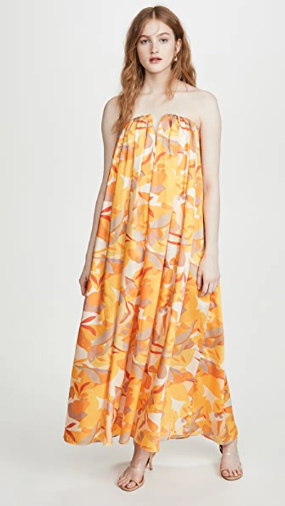 Shop Acler Haslam Dress In Golden Abstract