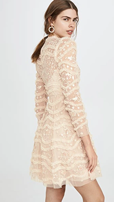 Shop Needle & Thread Ruffle Bloom Dress In Pearl Rose/champagne