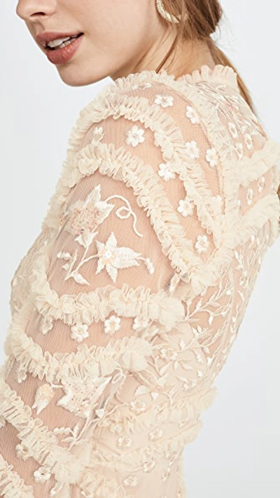 Shop Needle & Thread Ruffle Bloom Dress In Pearl Rose/champagne