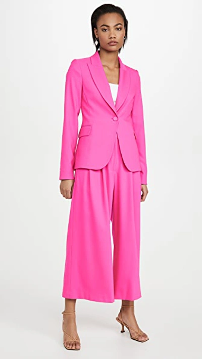 Shop Adam Lippes Pleat Front Culottes In Stretch Wool In Hot Pink