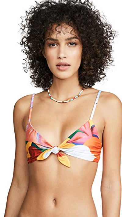 Shop Mara Hoffman Carla Bikini Top In Plumeria Print