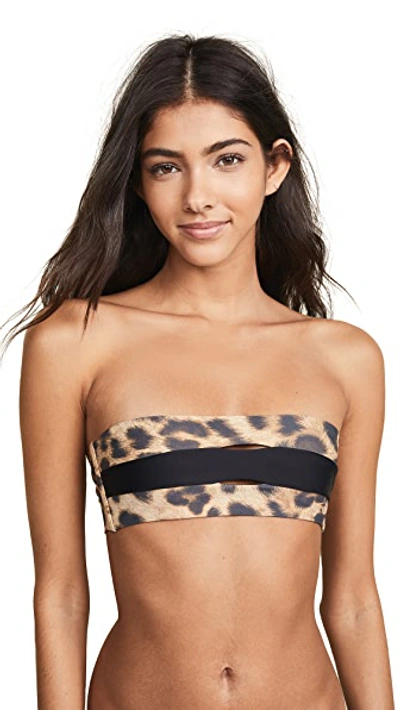 Shop Pilyq Color Block Bandeau Bikini Top In Cheetah
