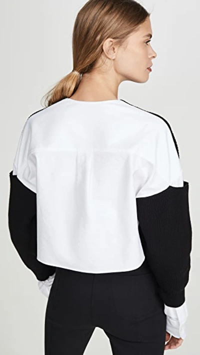 Shop Alexander Wang T Cropped Pullover Oxford Shirt In Black/white