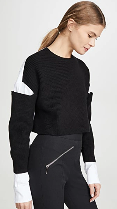 Shop Alexander Wang T Cropped Pullover Oxford Shirt In Black/white