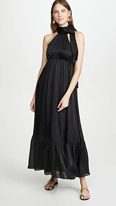 Shop Zimmermann Gathered Bow Tie Dress In Black